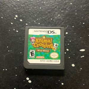 nintendo DS game